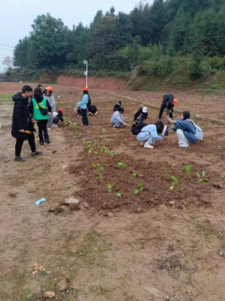 邵陽(yáng)市華龍中學(xué),邵陽(yáng)中學(xué)教育,高中教育,師資雄厚,名優(yōu)教師